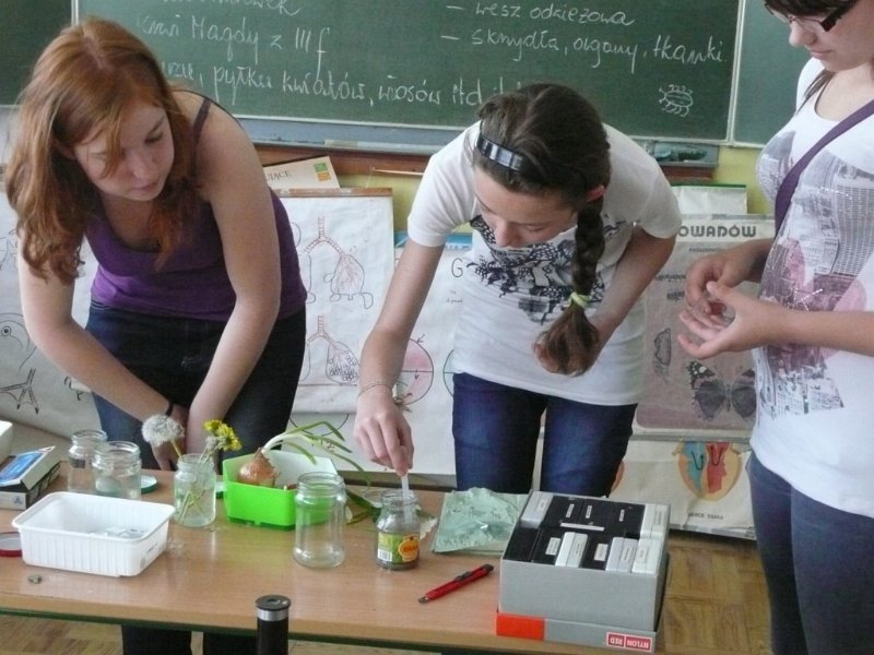 P1060737 [1024x768].JPG